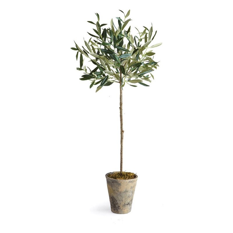 Napa Home and Garden Olive Potted Silk Tree | Hayneedle