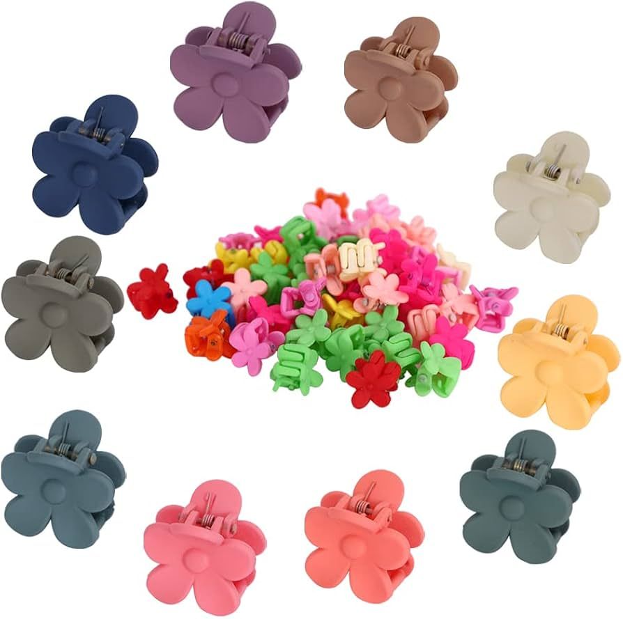 Hair Claw Clips 60PCS Flower Hair Clips - 10pcs Small Flower Clips and 50Pcs Mini Hair Clips Flow... | Amazon (US)