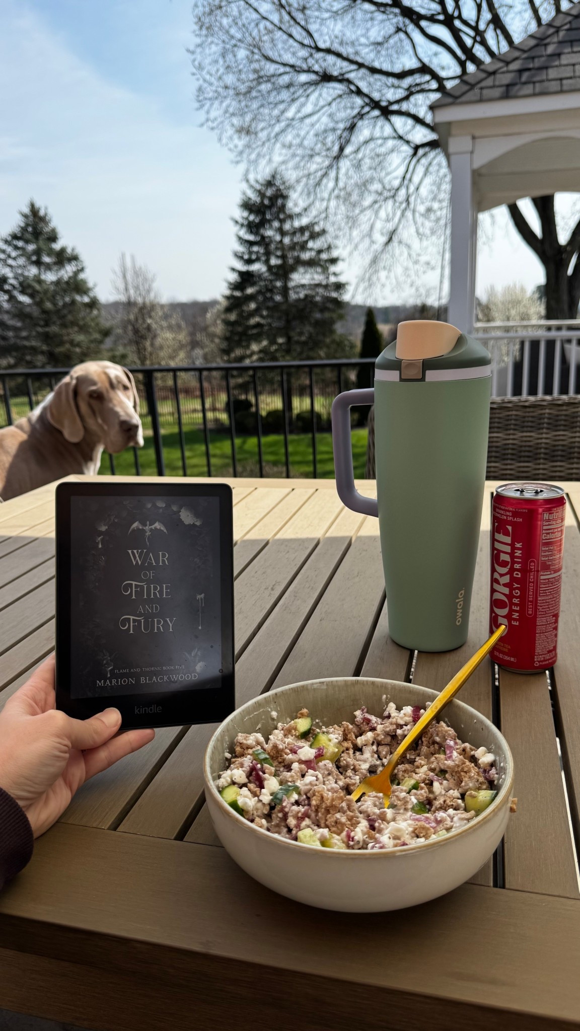 Spring is for sunny days on the patio with Slinky and my kindle! ☀️

#LTKSeasonal #LTKHome #LTKmomlife