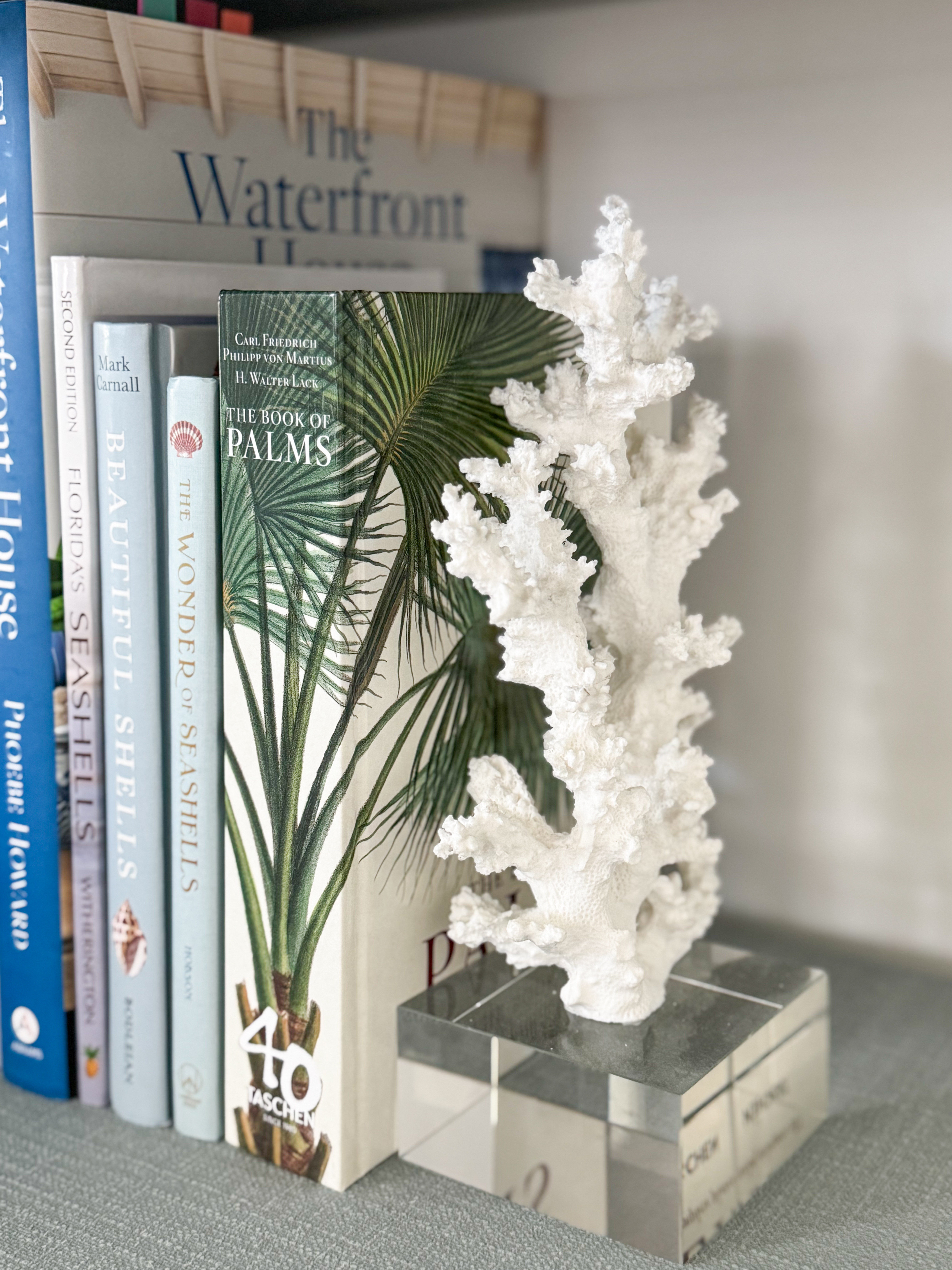 In love with these coral bookends! They're on major sale this weeknd and are so gorgeous in person! There’s a short and tall version on the same link (stock photo just shows the short version). See more recent faves and sale finds here: https://lifeonvirginiastreet.com/recent-favorites-on-sale/ #ltkhome #ltksalealert #ltkseasonal #ltkfindsunder100 #ltkfindsunder50

 

#LTKHome #LTKSaleAlert #LTKFindsUnder50