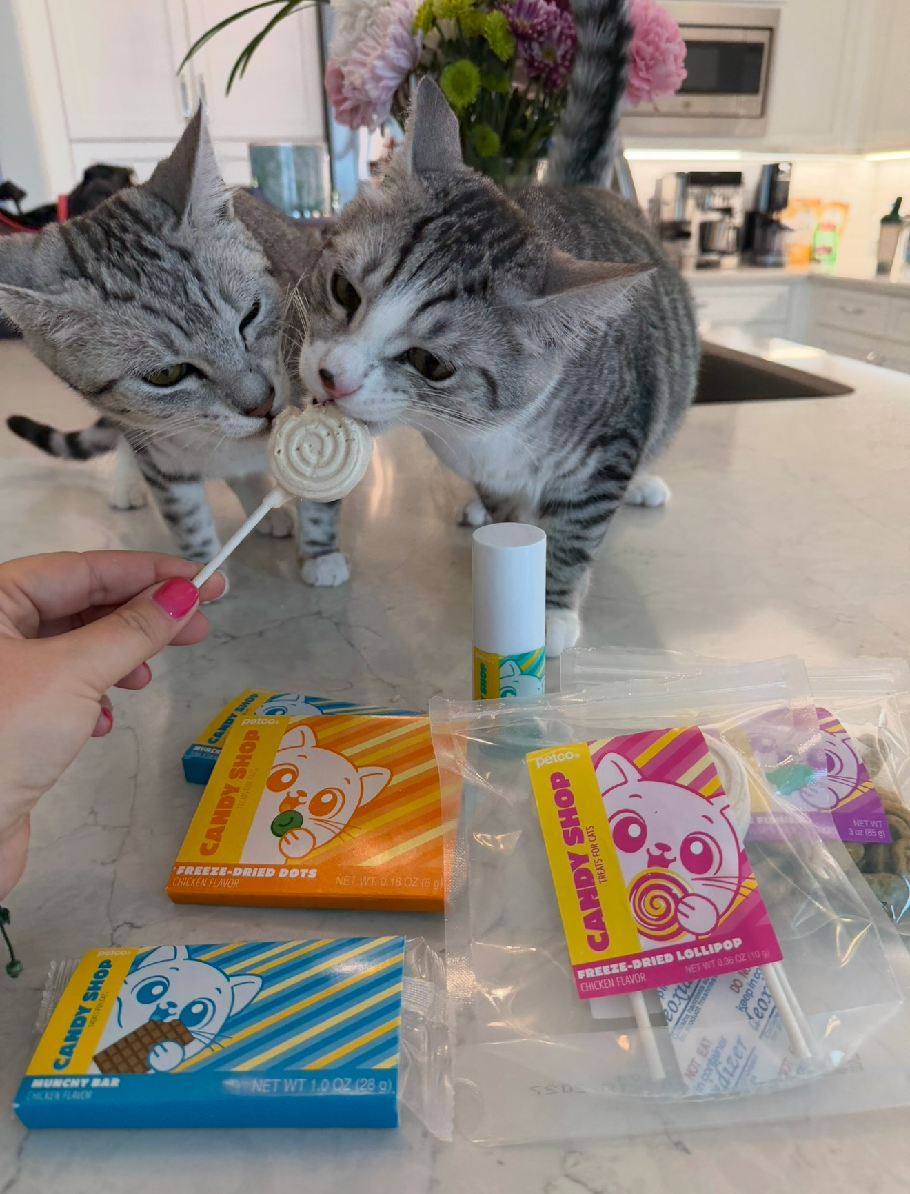 Have you ever seen this at Petco??? Loki and Lila are in love with their cat candy. Everything is linked!! #ad #PetcoPartner @petco