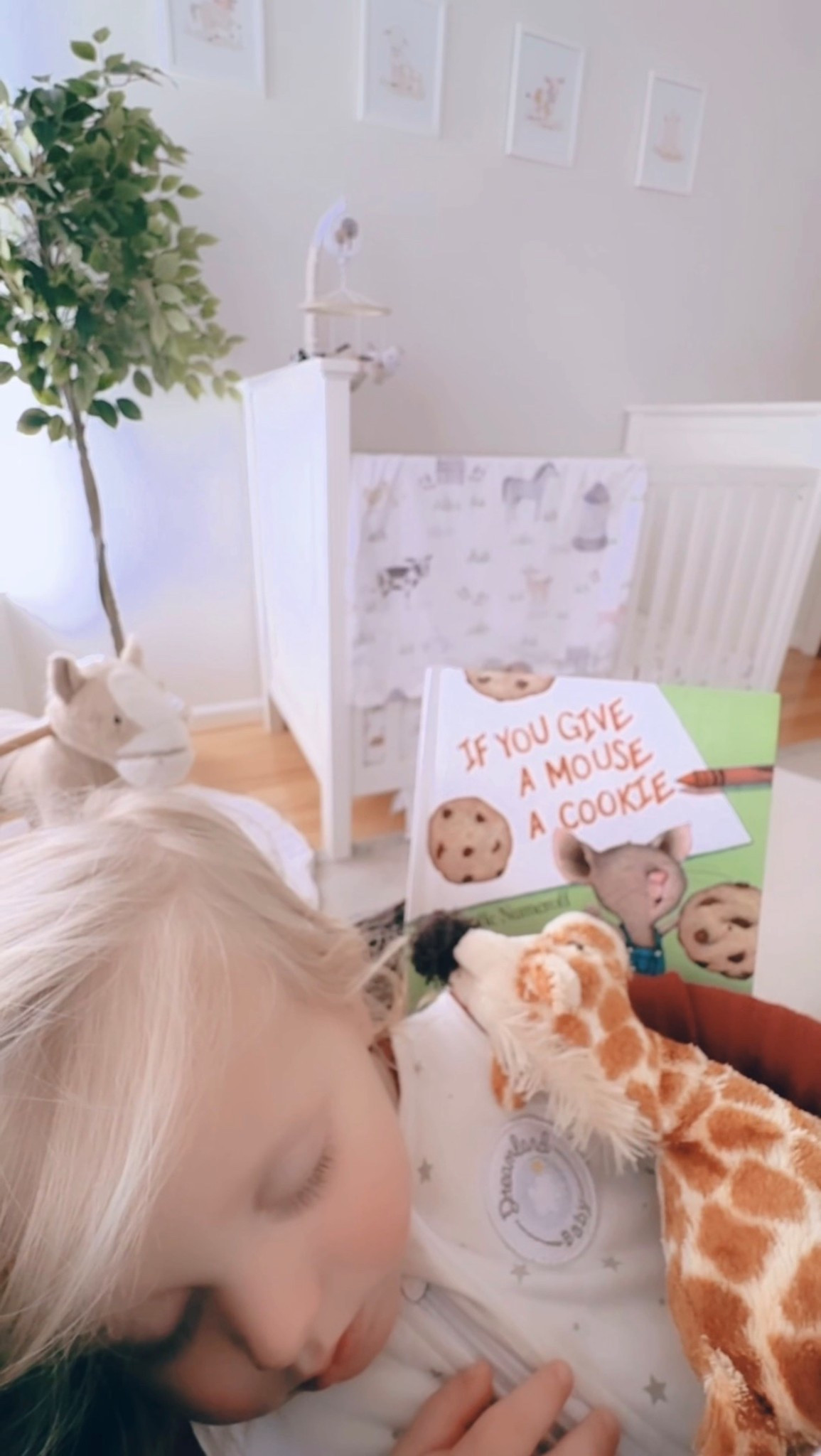 Such a classic 👌🏽 for our nap time 💤 storytime 📖 today!! 🐭🍪