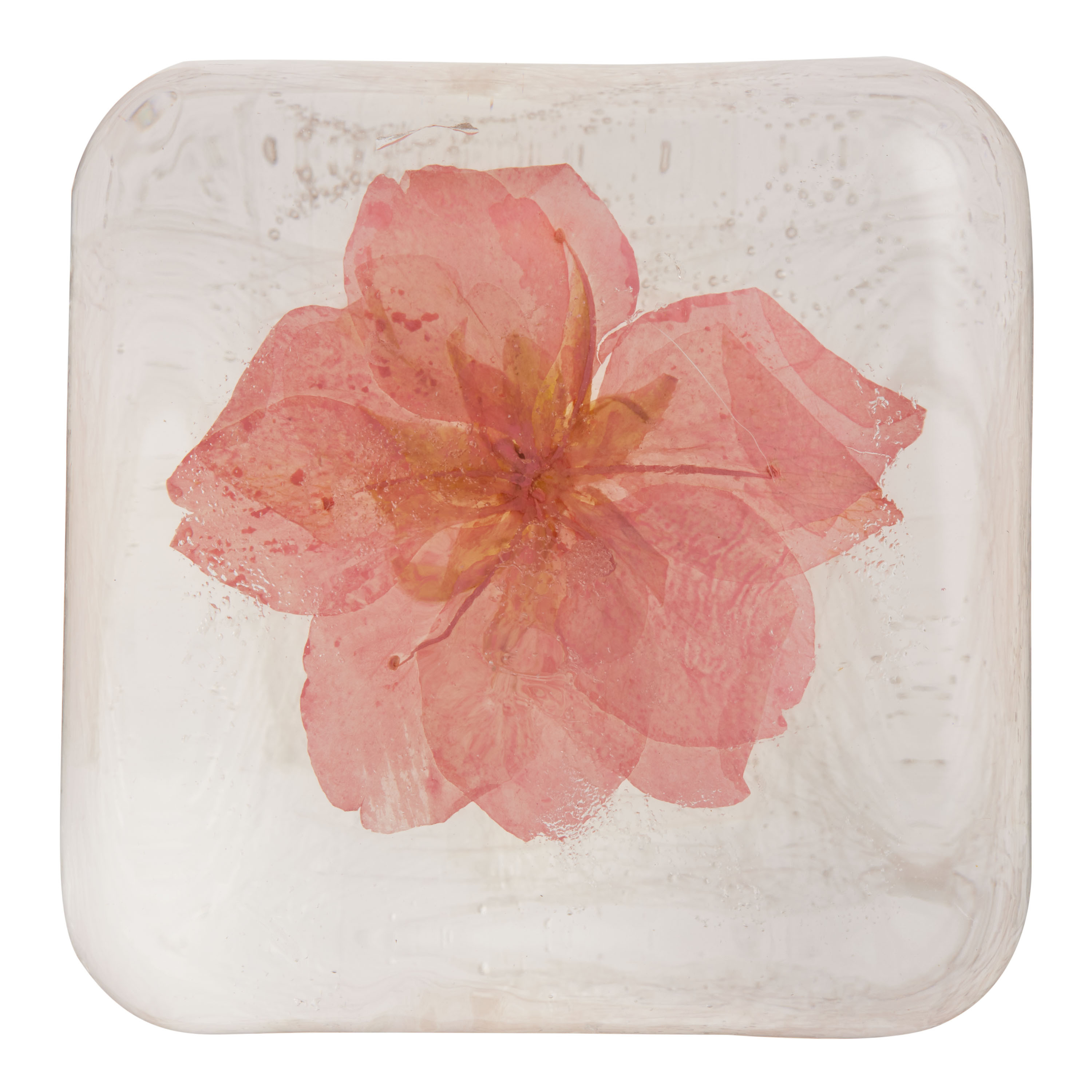 Botanical Glycerin Aloe Vera Bar Soap Collection - World Market | World Market