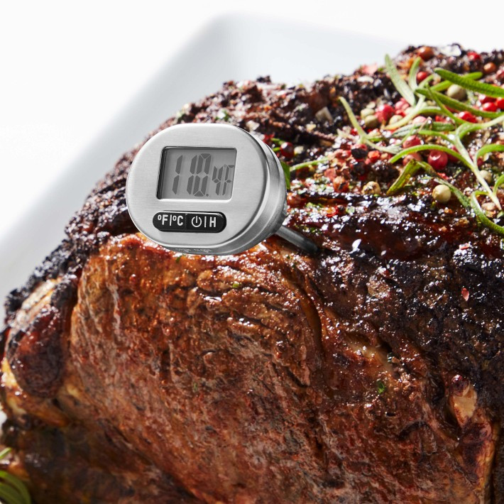 Williams Sonoma Stainless-Steel Pocket Thermometer | Williams-Sonoma