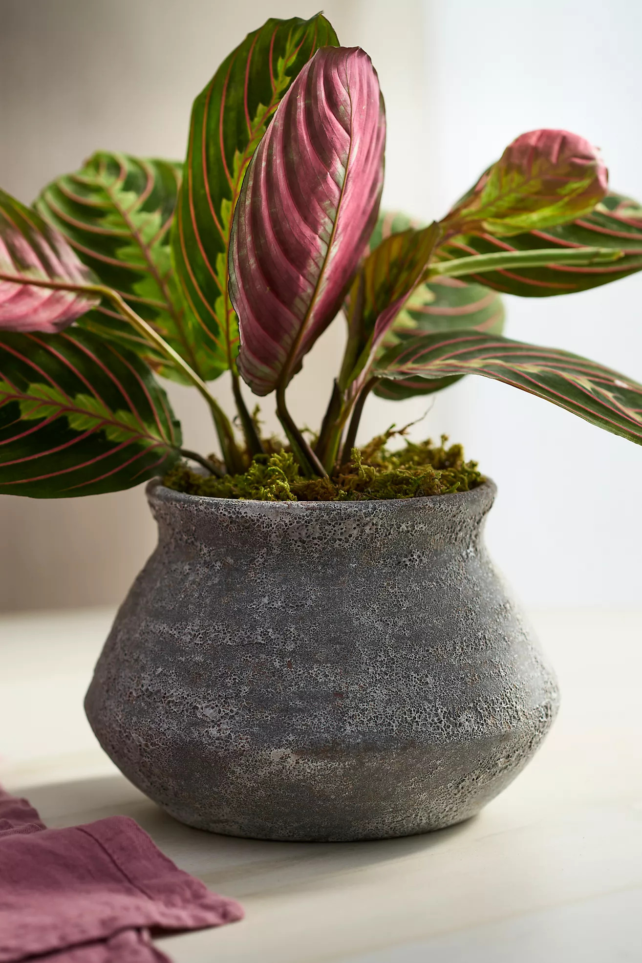 Buckled Jar Stoneware Planter | Anthropologie (US)