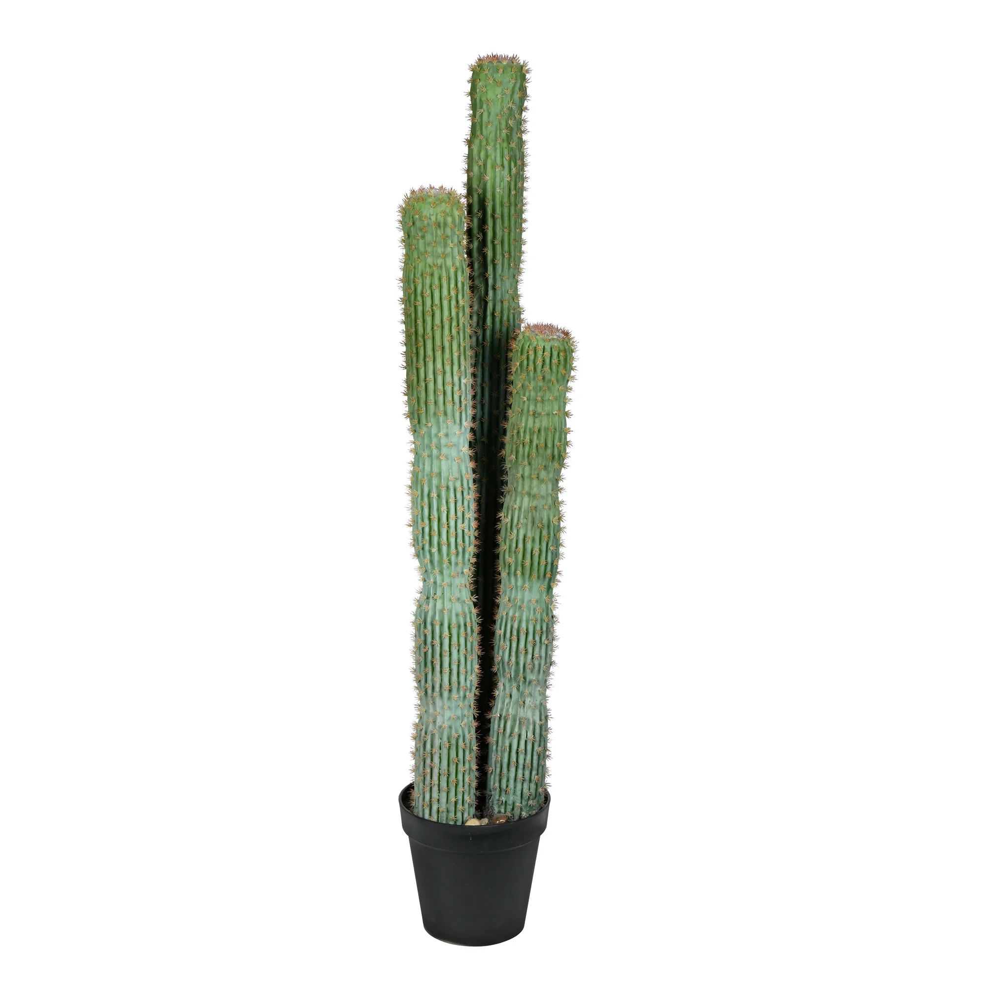 Artificial Cactus Plant in Pot | Wayfair Professional