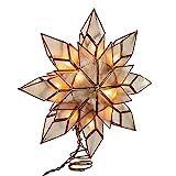 Kurt Adler 8.5-Inch Capiz Star Tree Topper with 10 Clear Lights and 1 Spare Bulb | Amazon (US)