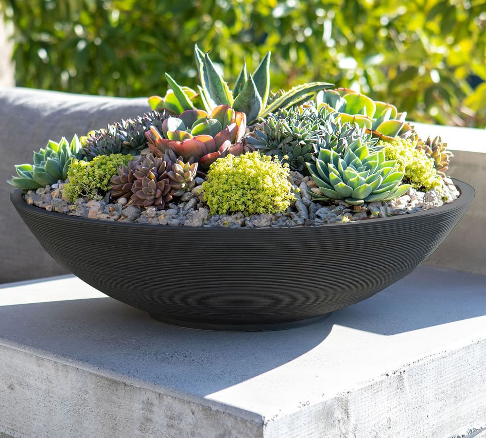 Hevea Outdoor Bowl Planters | Pottery Barn (US)