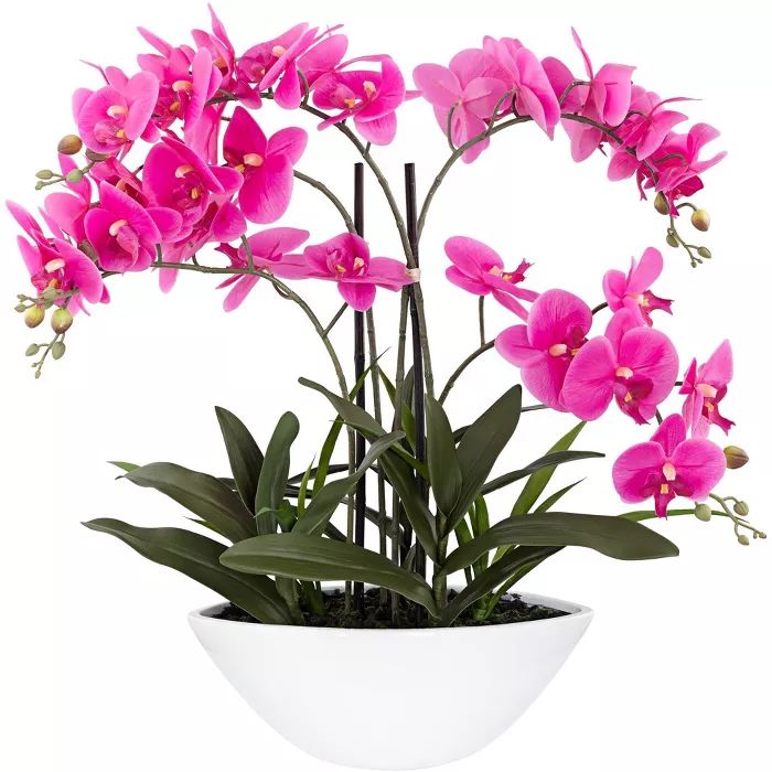 Dahlia Studios Real Touch Pink Orchid 28" High Faux Flowers in White Pot | Target