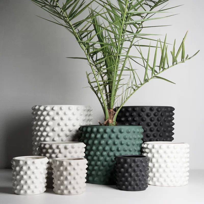 Cloudy Ceramic Pot Planter | Wayfair North America