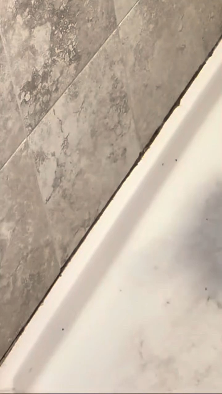 How to get rid of mold
•
Comment Mold and I would send you link distantly to your DM.
#groutcleaning #mold #cleaningtips...