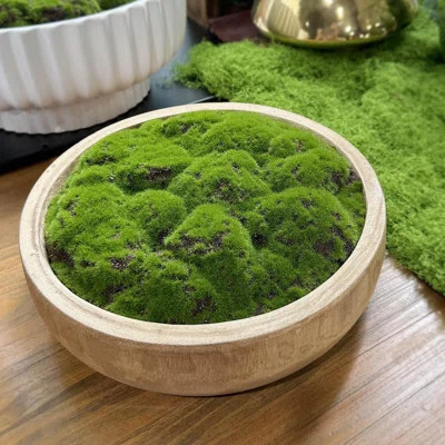 Moss Wood Bowl, Natural Round Decorative Dough Bowl, Artificial Moss Centerpiece, Suitable For Wedding Tables, Home Decor, Living Room, Office, No Mai | Wayfair North America