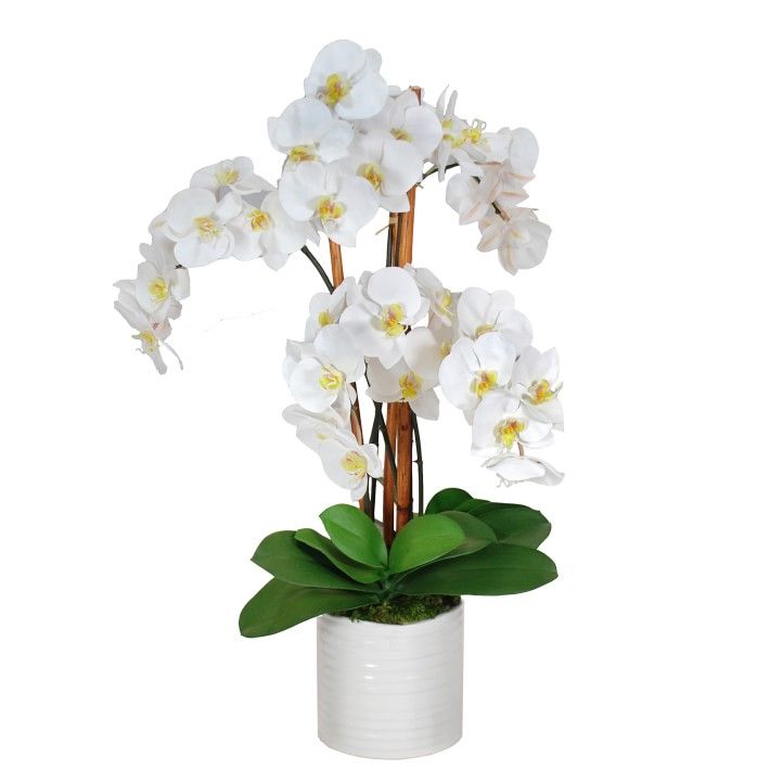 Faux White Orchids in Urban Coil Ceramic Bowl | Williams-Sonoma