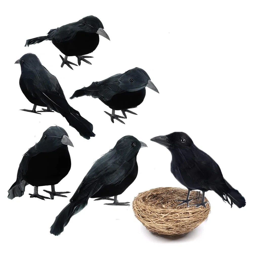 Ophelia & Co. 6PCS Halloween Crows Black Realistic Crows Artificial Feathered Raven Prop with 1pc... | Wayfair North America