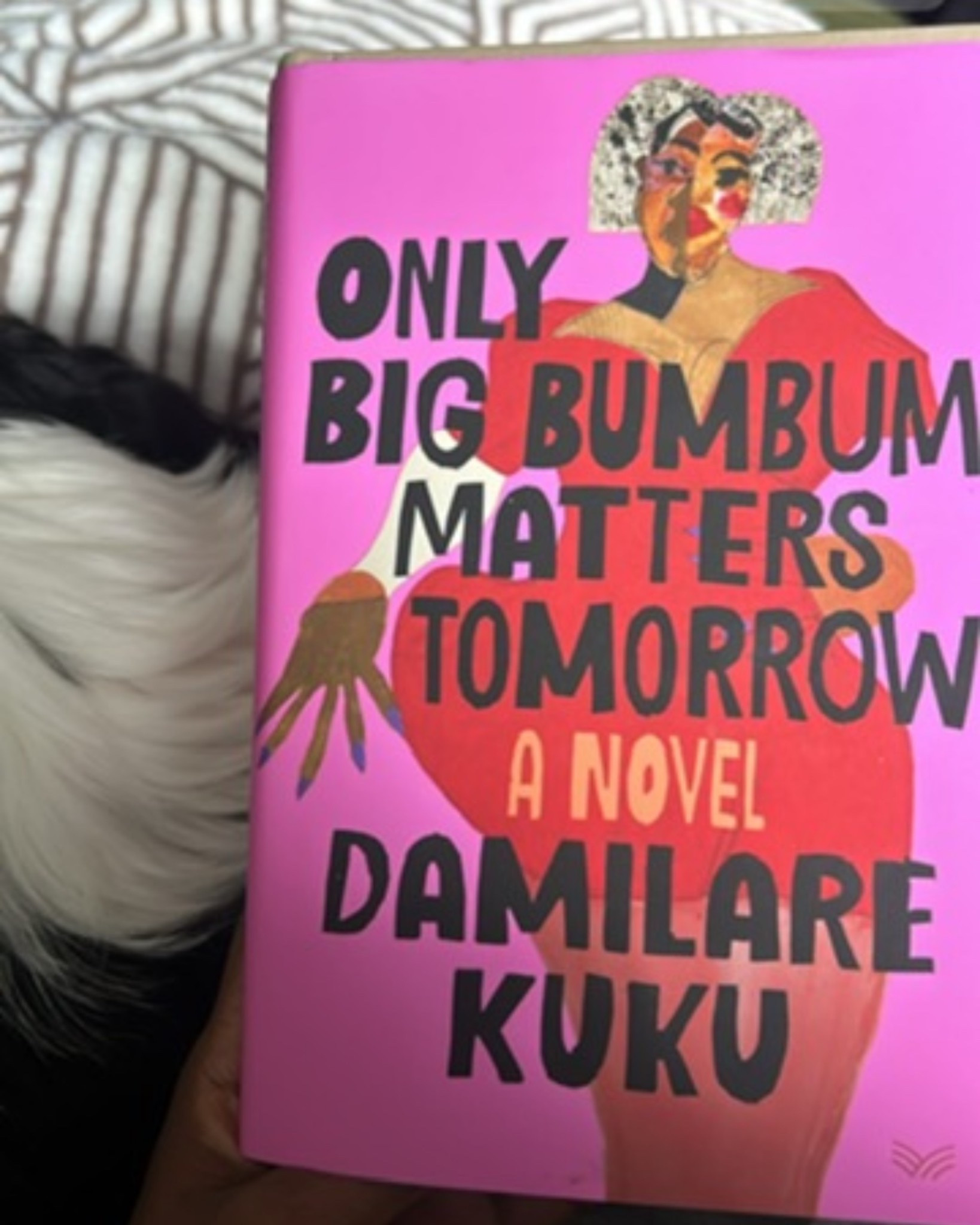 Not gonna lie, I only wanted to read this book because of the ridiculous title lol BUT I was pleasantly surprised! The ending felt kinda rushed to me (personally). Or maybe that’s just a result of the characters and their stories being told so well I didn’t want it to end. IDK. But what I do know, is that I’ll be getting her other book “Nearly All the Men in Lagos are Mad”. It also made me want to visit Lagos. I’ve always preferred Abuja because all I think of Lagos is noise and traffic but in this book, Lagos had more to offer so we’ll see✈️