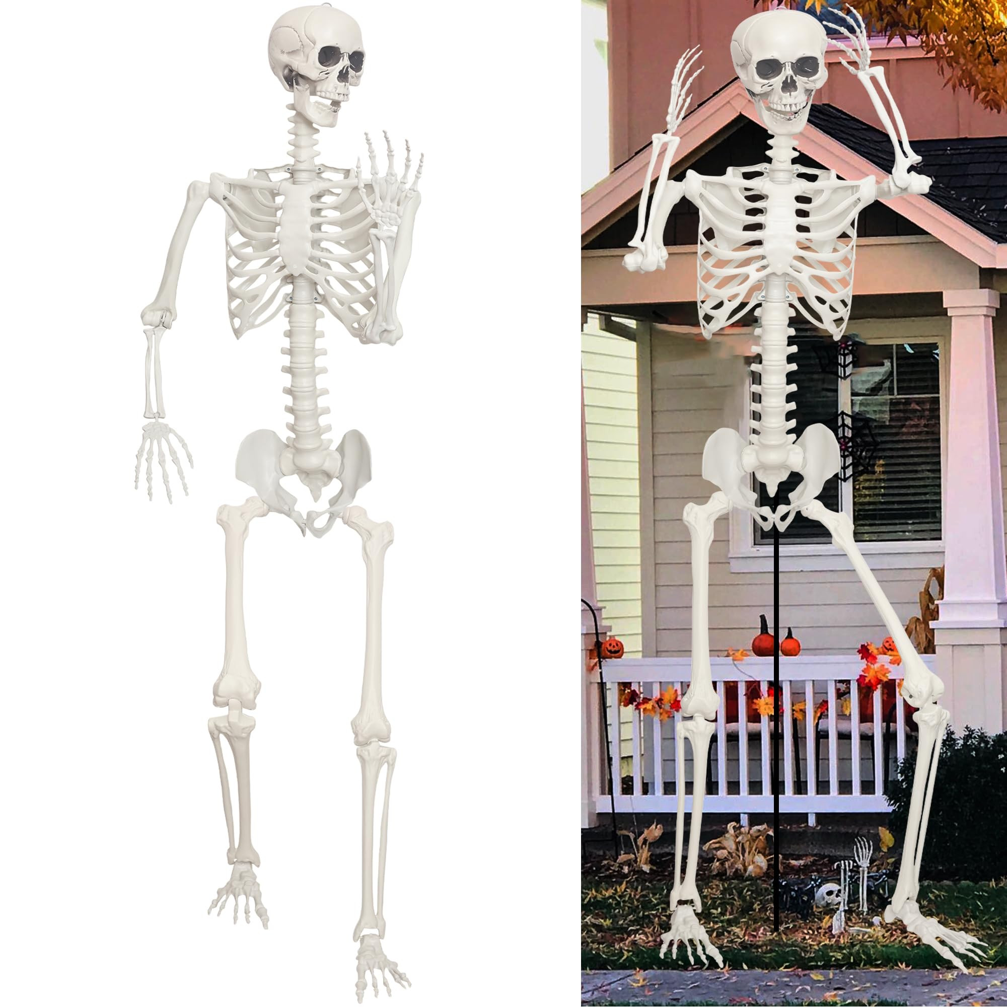 Lodou   Visit the Store | Amazon (US)