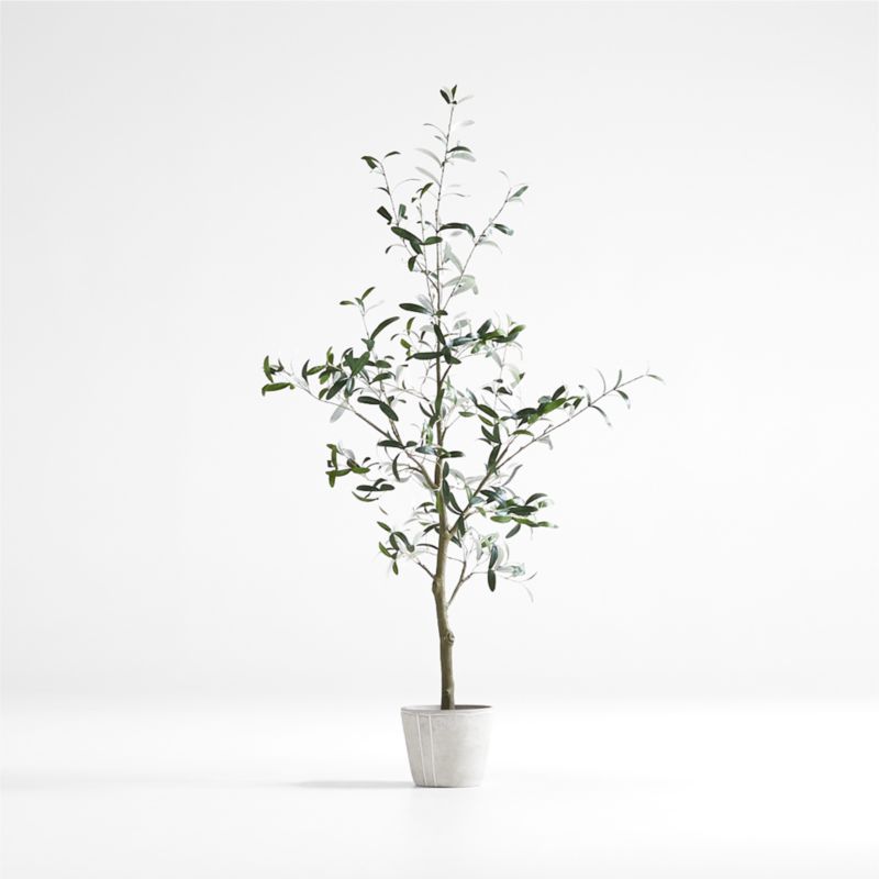 Potted Faux Olive Tree 5' + Reviews | Crate and Barrel | Crate & Barrel