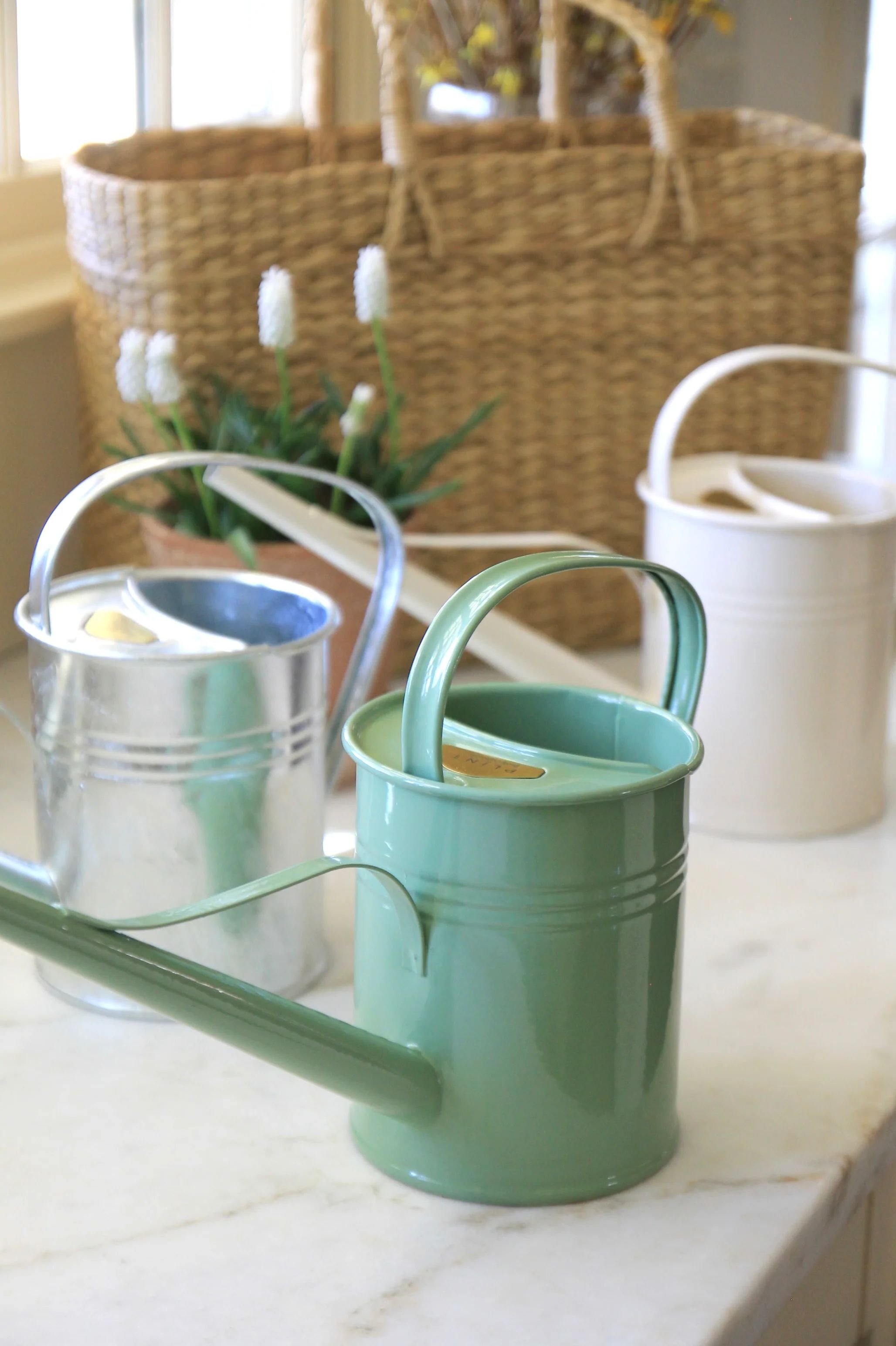 Watering Cans | Summer Green, Cream & Zinc | JSH Home Essentials