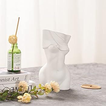 Feminine Body Vases, Feminine Curve Vases,Unique Undressing Look,Decorative Vases, Creative Floral V | Amazon (US)