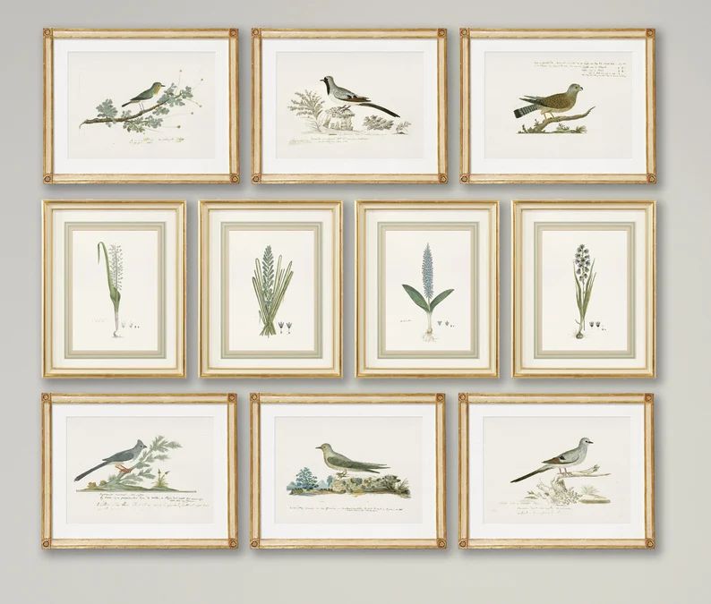 Botanicals & Birds: Set of 10 Antique Botanical and Bird Wall Art Prints, Archival Art Print on I... | Etsy (US)