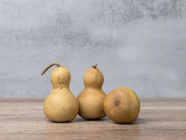 10 Dried Bottle Gourds 2 Diameter, Dried Gourds for Crafting and Decorating - Etsy | Etsy (US)