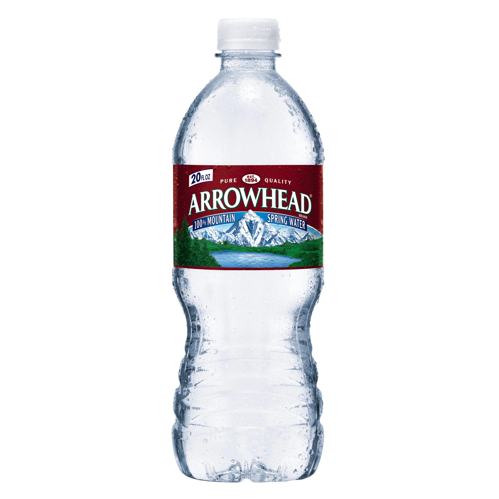 Arrowhead 20-fl oz Spring Bottled Water one_size | 11279630 | Lowe's