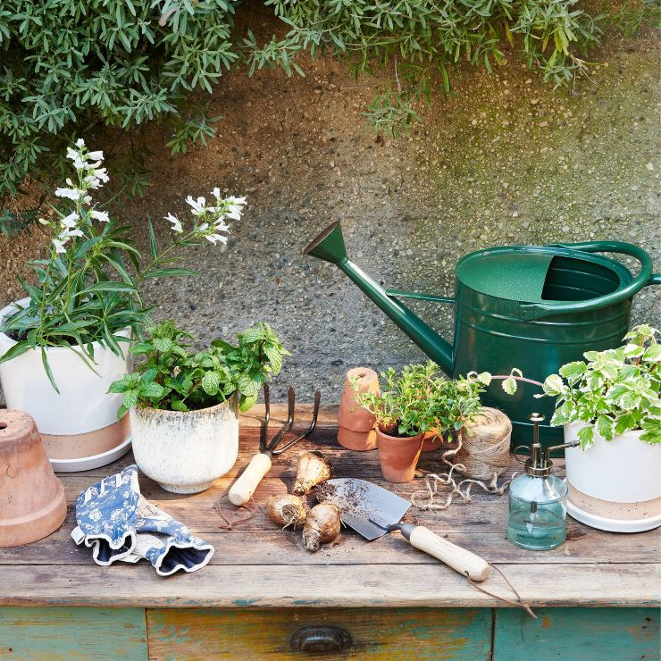 Large Steel Iron Watering Can Green - Smith & Hawken™ | Target