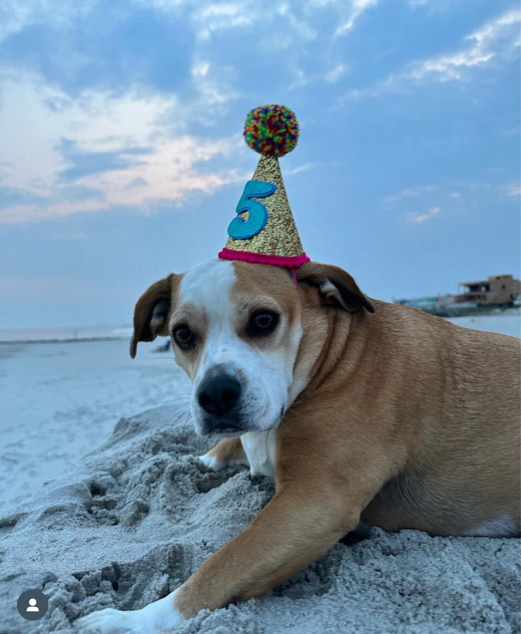 Birthday Hat! 

#LTKbaby #LTKfamily #LTKparties