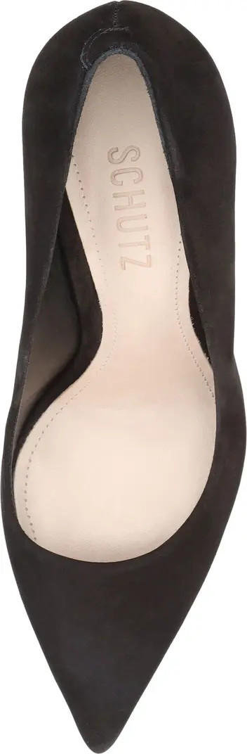 Lou Pointed Toe Pump (Women) | Nordstrom