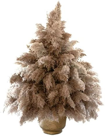 HUMINBO Dried Flowers Pampas Grass Decor Fluffy Pompas Floral 100 Stems Small Pompous Bulk Natura... | Amazon (US)