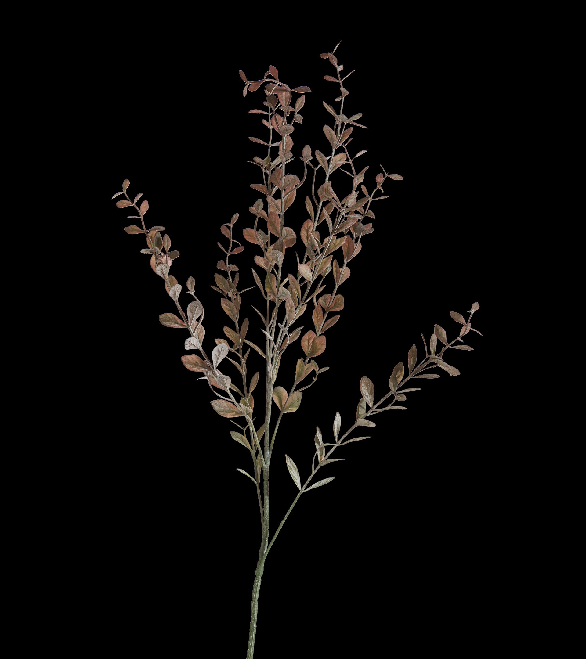 Faux Barberry Branch - Dark Brown/Burgundy | OKA UK