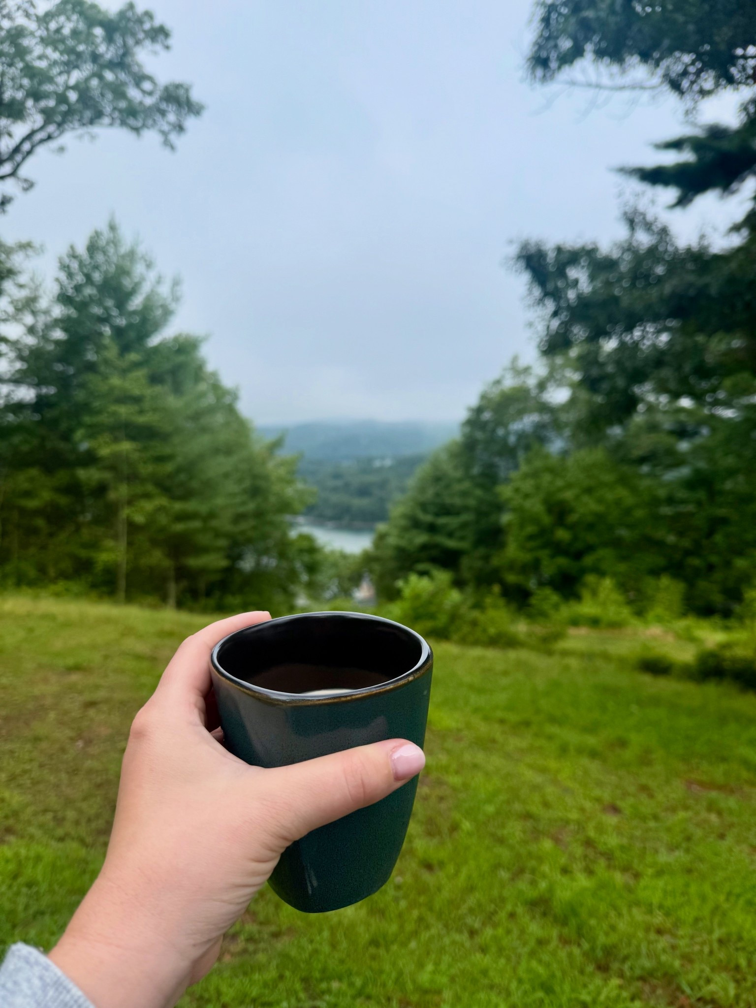 nothing like a morning coffee walk ⛰️ my fav men’s hoodie is perfect for this almost fall weather  

#LTKSeasonal #LTKHome #LTKActive