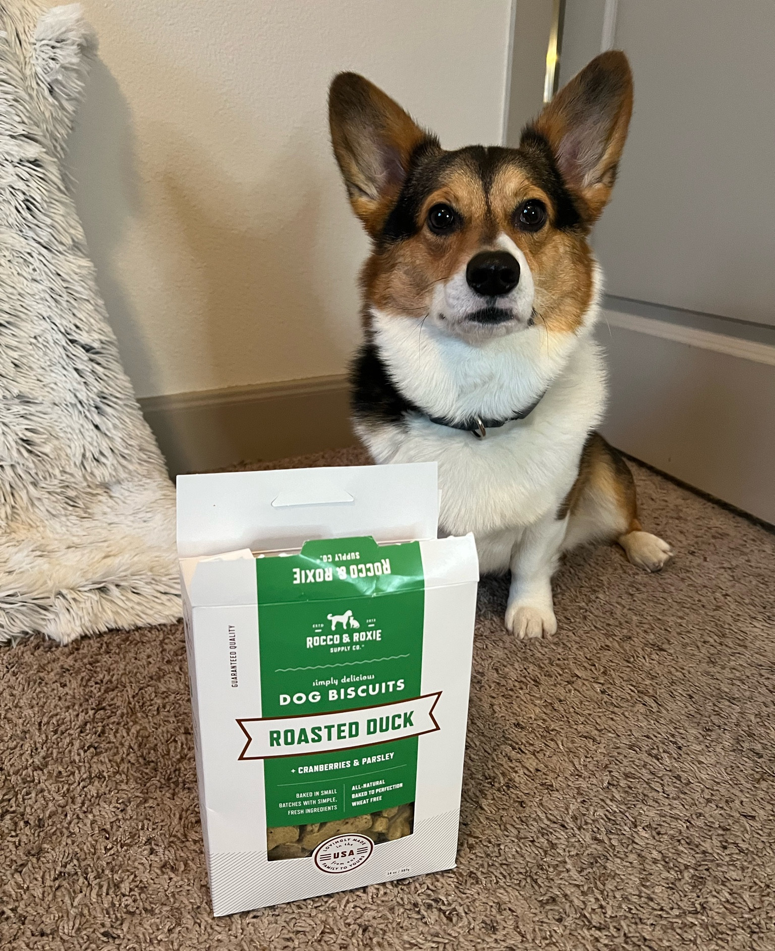 Who else loves duck treats?🦆 


#LTKGiftGuide #LTKfindsunder50 #LTKfindsunder100