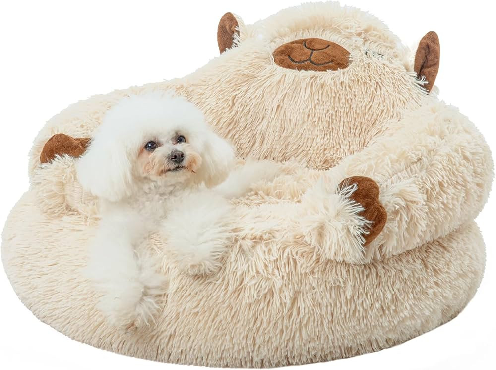 Jiupety Calming Dog and Cat Bed, Cozy Donut Cute Small Dog Beds, Anti Anxiety Round M(24" x 24" x... | Amazon (US)