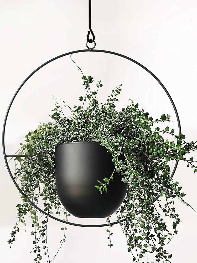 Hanging Planter for Indoor Plants Metal Mid Century Minimalist Wall and Ceiling Hanging Plant Pot... | Amazon (US)