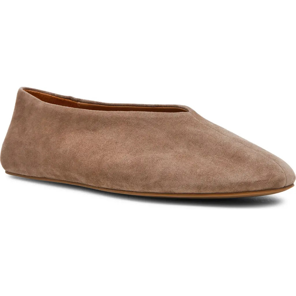 Steve Madden Cyntra Leather Flat in Taupe Suede at Nordstrom, Size 5.5 | Nordstrom