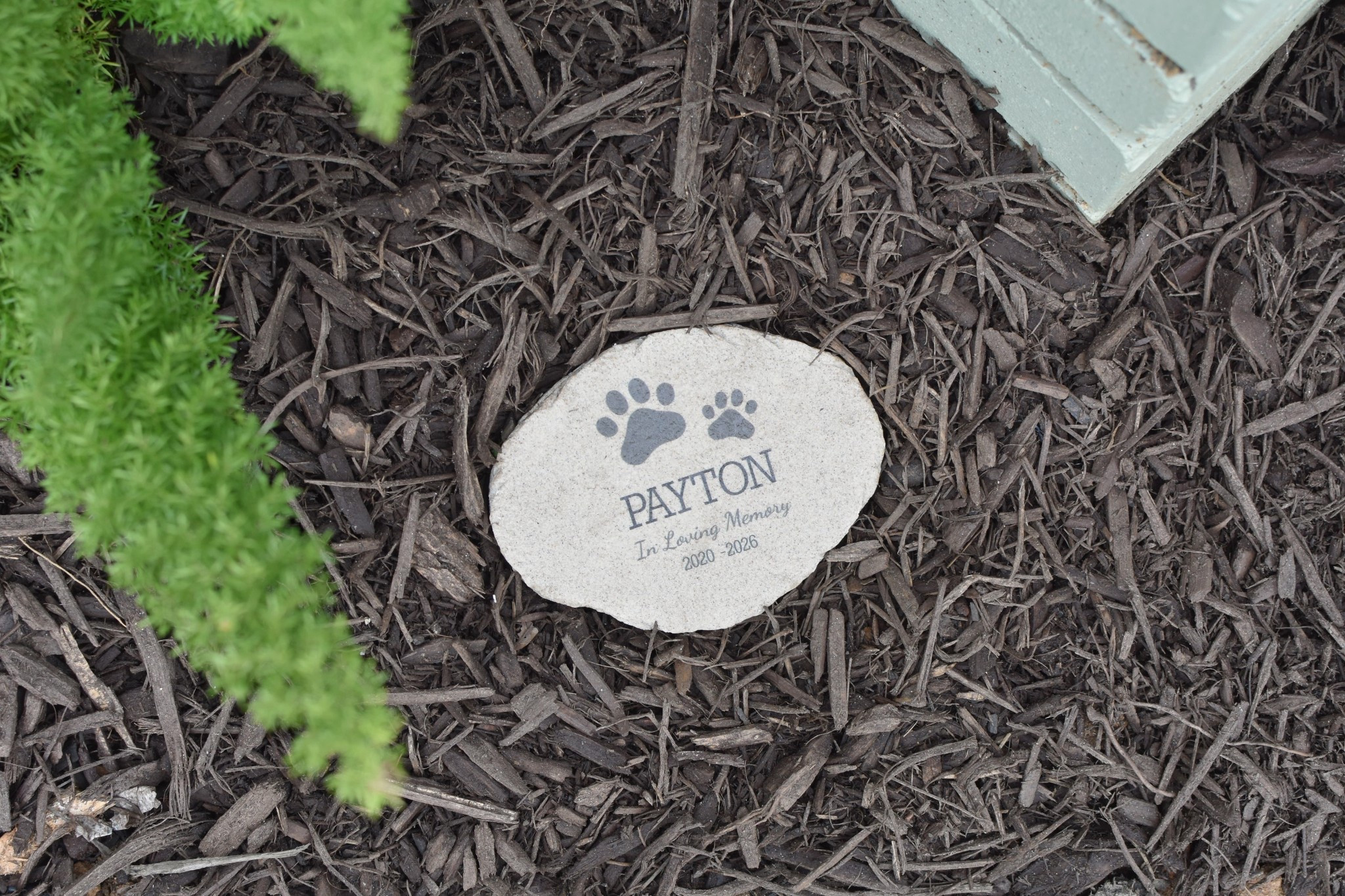 Our sweet doggie passed away. I wanted something to remember her by in her favorite flower bed, so I found this customizable memorial stone on Amazon. It’s so beautiful! 🐾 🪽 
*shown in size smalll

#LTKdayinmylife