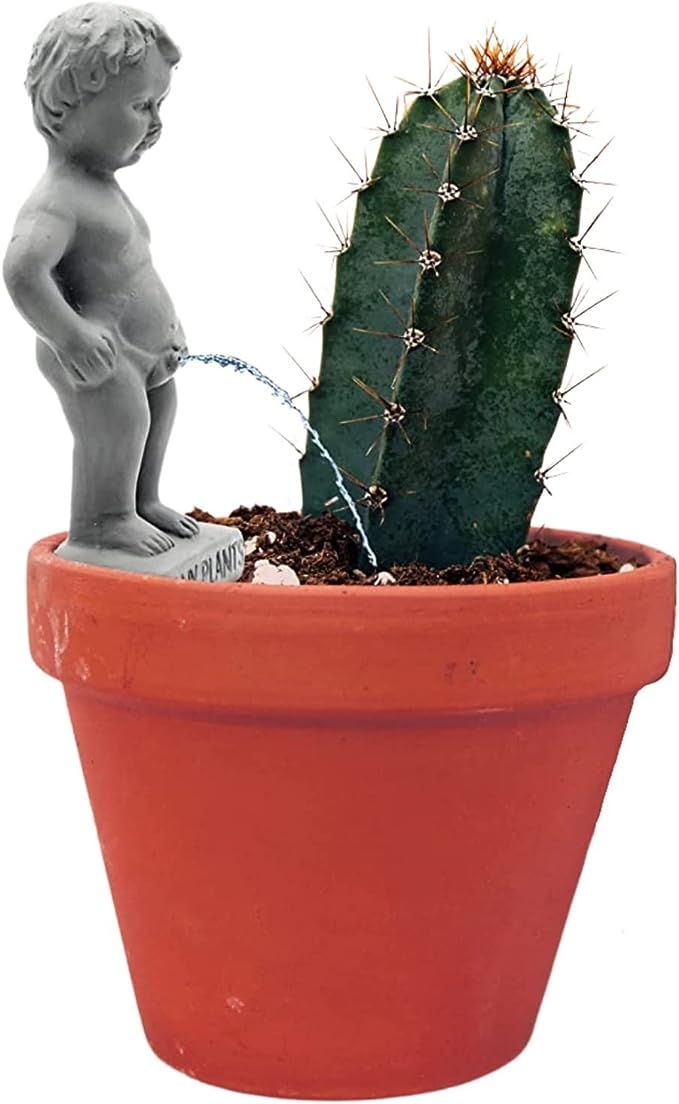 NPW Plant Life Pee My Plants, Peeing Boy Self Watering Stake, Spitter Garden Statue Water Feature... | Amazon (US)