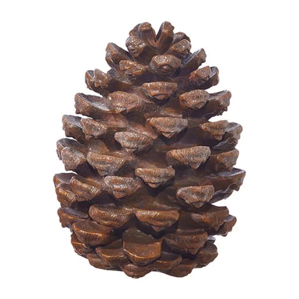 Pinecone | Wayfair North America