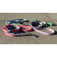 Biothane Dog Leash 3/4"" Multi-Color Convertible Training Lead | Etsy (US)