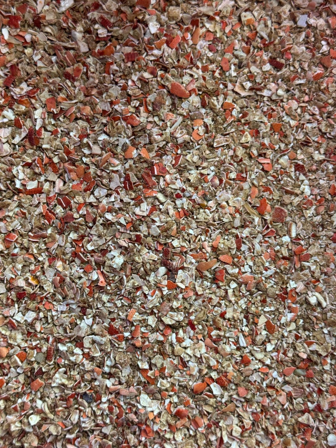 Crab and Lobster Shell Mix – Natural Calcium Source for Hermit Crabs - Etsy | Etsy (US)