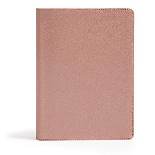 CSB She Reads Truth Bible, Rose Gold LeatherTouch, Black Letter, Full-Color Design, Wide Margins, Journaling Space, Devotionals, Reading Plans, Single-Column, Easy-to-Read Bible Serif Type | Amazon (US)