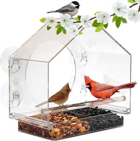 Window Bird Feeder House by Nature Anywhere with Sliding Feed Tray | Amazon (US)