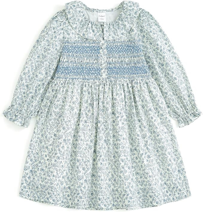 Amazon.com: Curipeer Baby Girls Long Sleeve Floral Dress Flower Printed Smock Toddler Ruffle Dres... | Amazon (US)