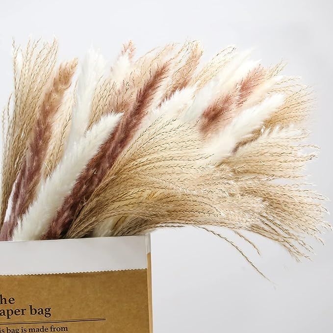 Mudysson 16.92" Dried White Pampas Grass 15 Pcs|Brown Dried Flower 15 Pcs|30 Pcs Natural Dried Re... | Amazon (US)