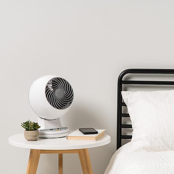 WOOZOO Oscillating Fan with Remote | The Container Store