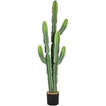 Nafresh UV-Resistant Artificial Fake Cactus Plants 5ft – Large Faux Cowboy Cactus for Indoor & ... | Amazon (US)