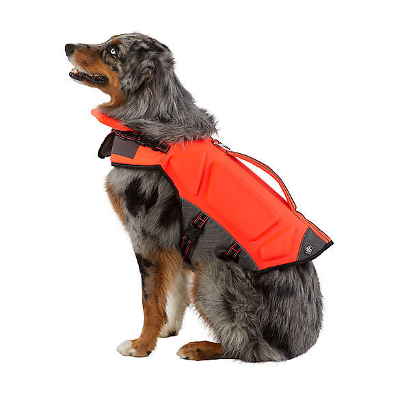 Arcadia Trail™ High Visibility Life Jacket | PetSmart