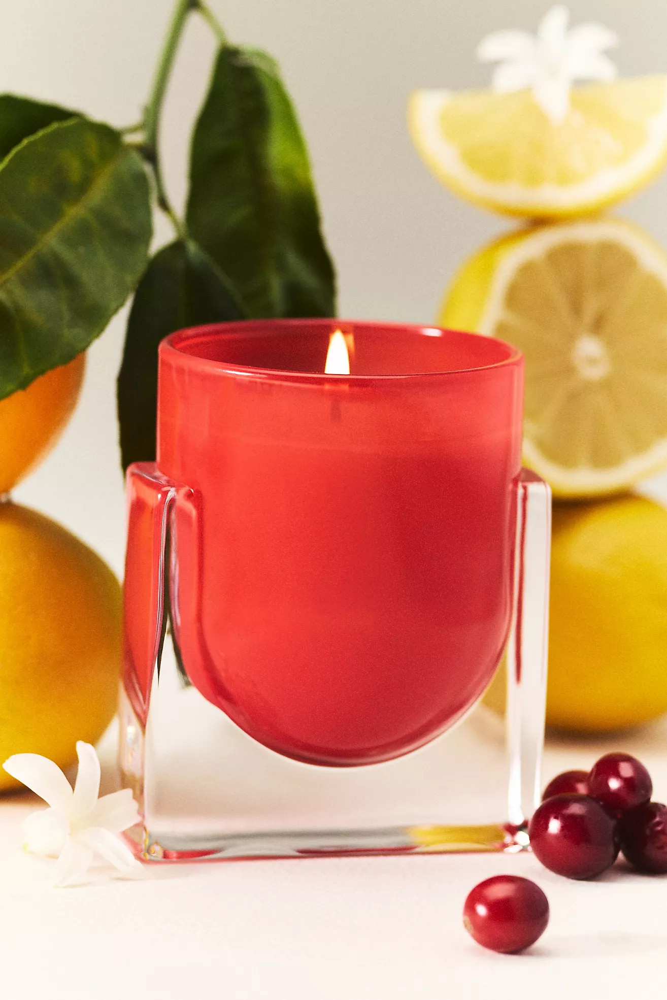 Found Notes Fruity Berry Citron & Blossom Boxed Glass Candle | Anthropologie (US)