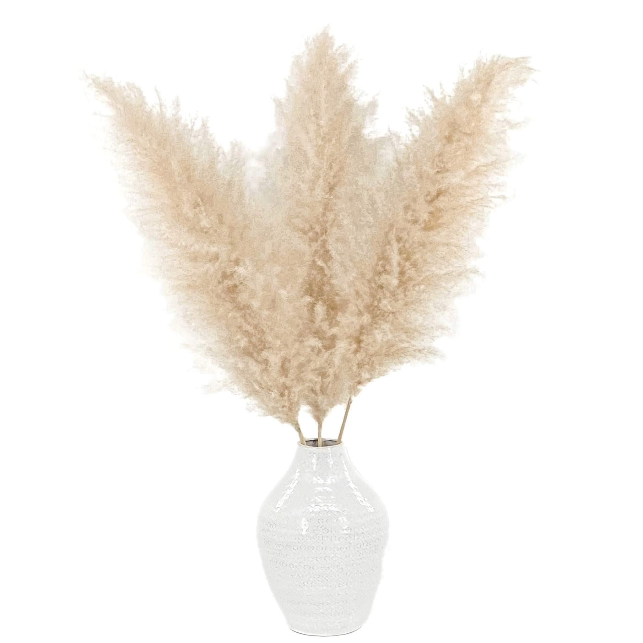 Meadowlux Tall Dried Pampas Grass Large, 3 Stems, 48" (4 FT), Very Fluffy Feathers - Rustic Home ... | Amazon (US)